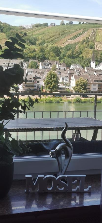 Ferienwohnung Moselterrasse 摩泽尔河畔的泽尔 外观 照片
